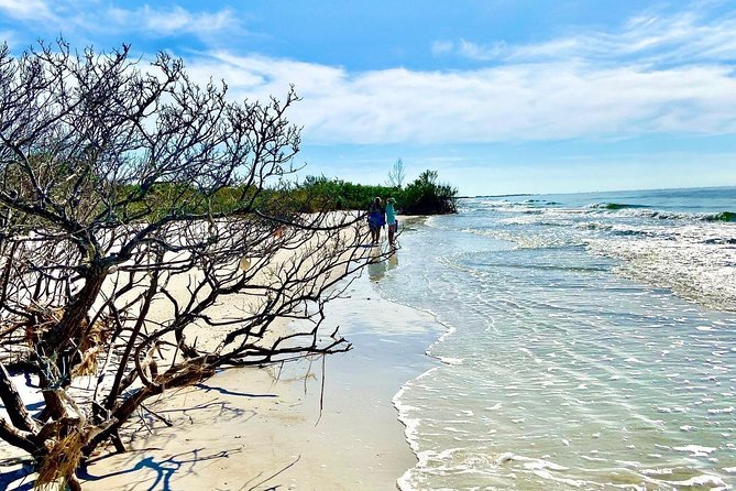 Clear Kayak Tour of Shell Key Preserve and Tampa Bay Area - Additional Info