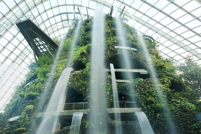 Cloud Forest + Supertree Observatory - What to Expect in the Cloud Forest