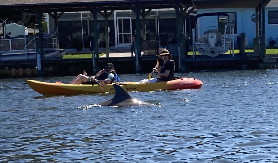 Cocoa Beach: Daytime Guided Kayak Eco-Tour - Paddling Through Mangroves