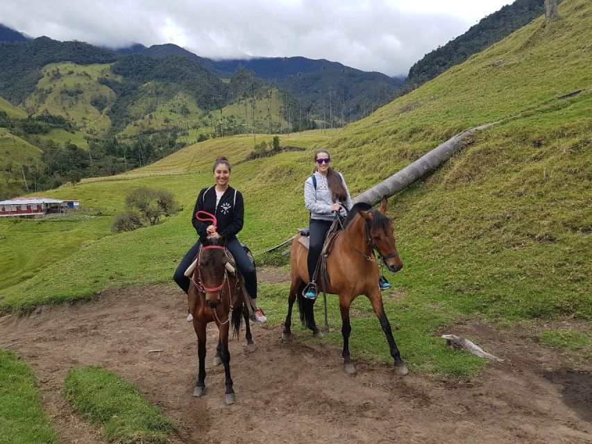 Cocora Valley: Salento & Private Horseback Riding Tour - Environmental Significance