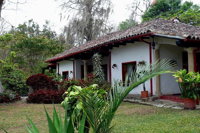 Coffee Farm Hacienda La Coloma Private Tour With Optional Lunch - Accessibility Information