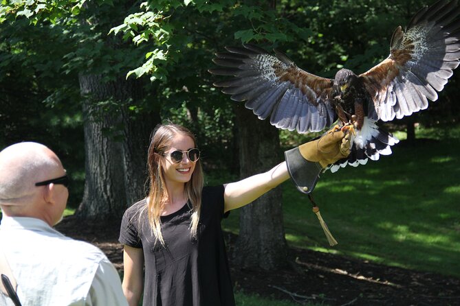 Colorado Springs Hands-On Falconry Class and Demonstration - How to Prepare for Your Class
