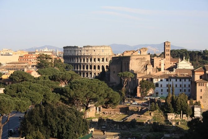 Colosseum and Ancient Rome Private Guided Tour - Accessibility Information