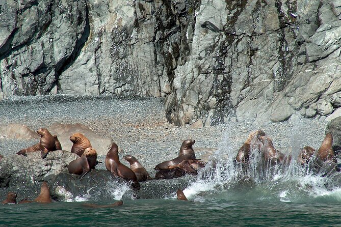 Columbia Glacier Cruise From Valdez - Customer Experiences