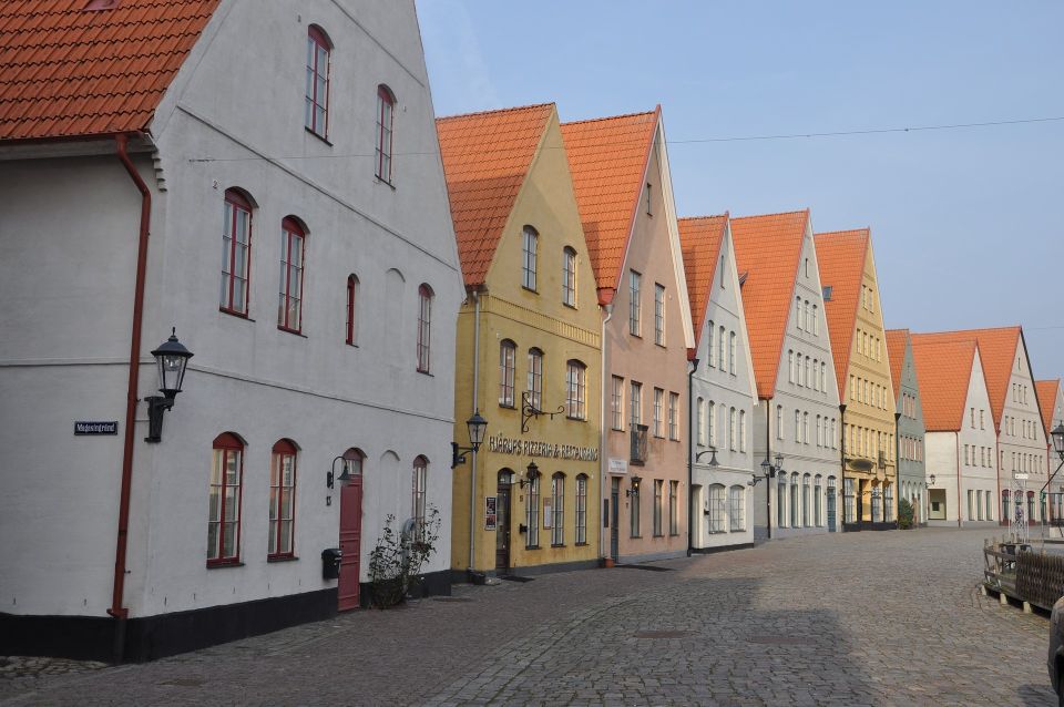 Copenhagen: Tour Across the Øresund Bridge to Lund and Malmö - Transportation and Logistics