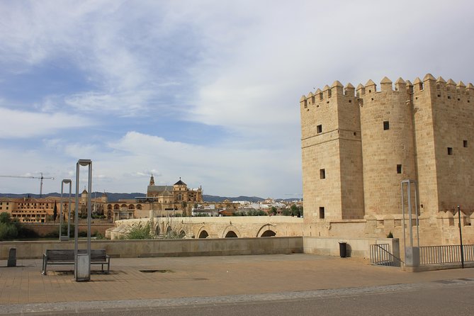 Cordoba Including Mosque and Cathedral Guided Tour From Seville - Language and Group Size