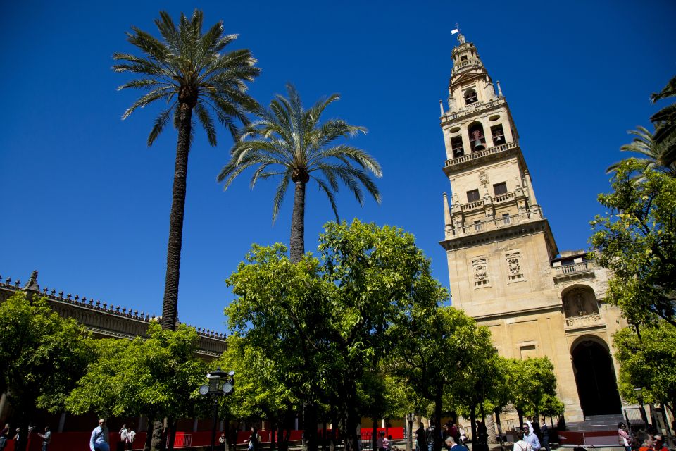 Cordoba: Mosque-Cathedral & Jewish Quarter Private Group - Reservation and Cancellation Policy