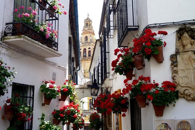 Cordoba Small-Group Day Tour From Seville - Pricing Information