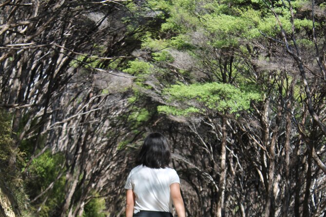 Coromandel Coastal Walkway: Full-Day Hike and Bike Tour - Health and Fitness Guidelines