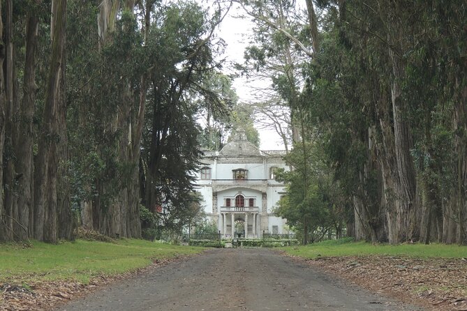 Cotopaxi Volcano and Colonial Hacienda Day Trip - Customer Experiences and Testimonials