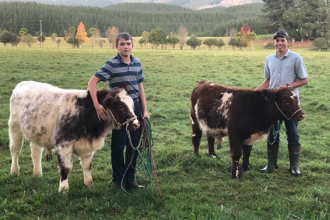 Country Experience at Mohaka River Farm - Customer Testimonials