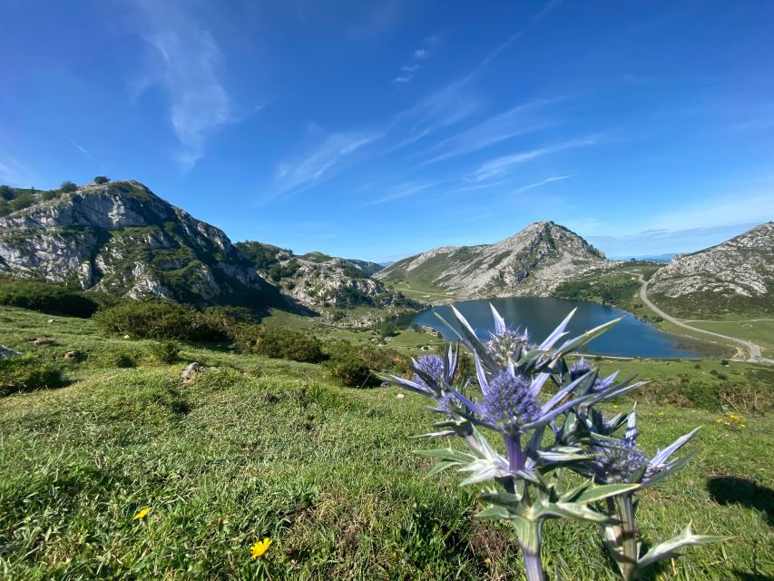 Covadonga and Lakes and Occidental Coast Private Tour - Booking Information