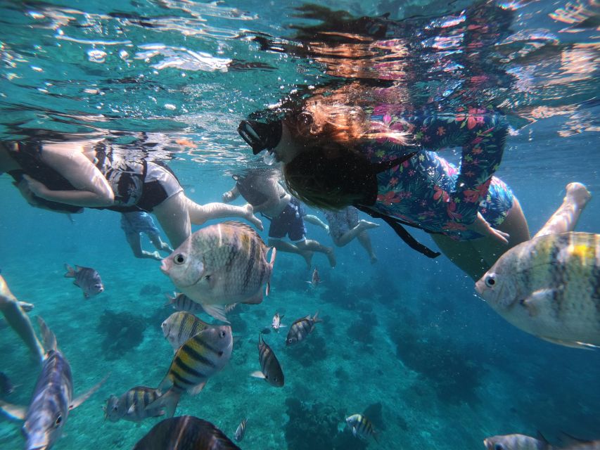 Cozumel: Private VIP Glass Bottom-Boat and Snorkeling Tour - Restrictions and Considerations