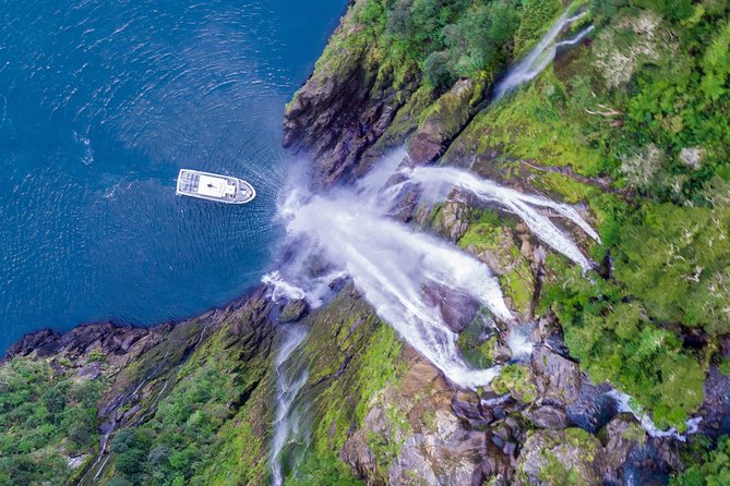 Cruise Milford Small Group Day Tour From Queenstown - Important Booking Information
