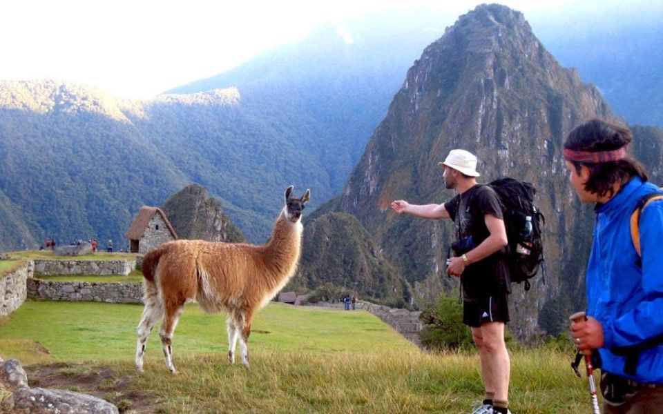 Cusco: 1-Day Excursion to Machu Picchu + General Admission Ticket & Train - Inclusions and Exclusions