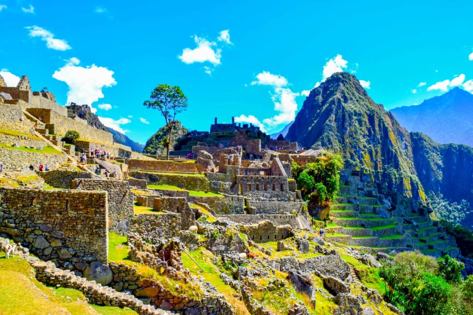 Cusco: 5-Day Salkantay Ultimate Trek to Machu Picchu - Exclusions