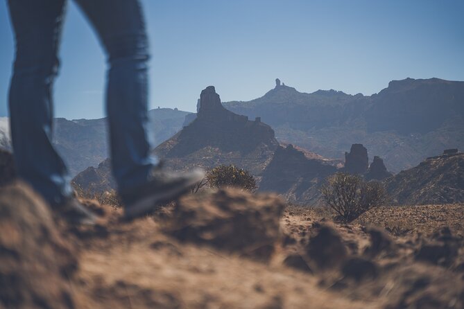 Custom Private & VIP Highlights Tour of Gran Canaria - Booking Process and Options