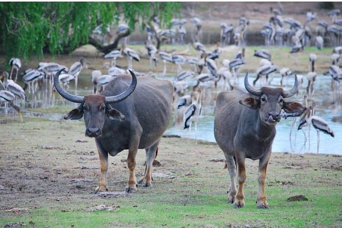Customize Tour in Sri Lanka - Booking Process
