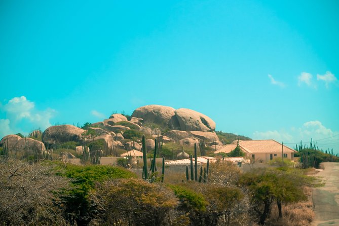 Customized Aruba Island Private Tour for All Ages - Included and Excluded