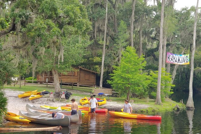 Cypress Forest Guided Kayak Nature Eco-Tour - Tips for an Enjoyable Experience