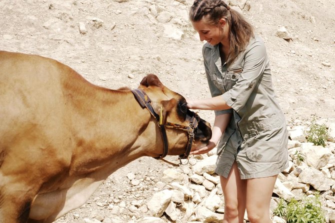 Czech Countryside Villages Tour From Prague With Animal Farm - Local Cuisine and Dining