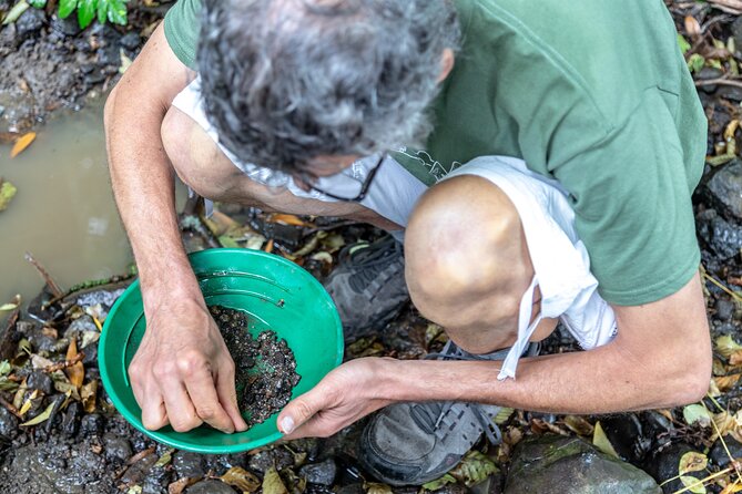 Czech Garnet Panning With Animal Farm, Lunch 4WD Trip From Prague - What to Expect