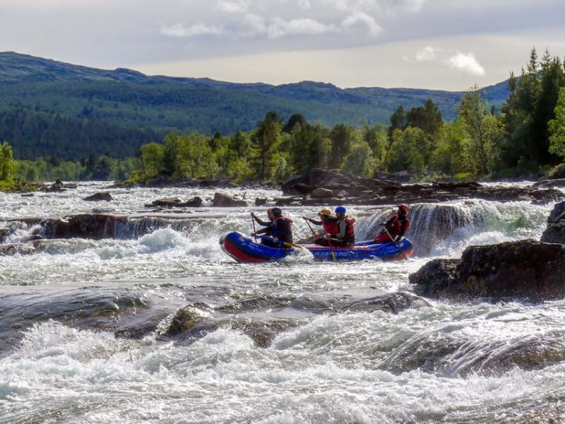 Dagali/Geilo: Wild Viking White Water Rafting - Level 3 - What to Expect on the River