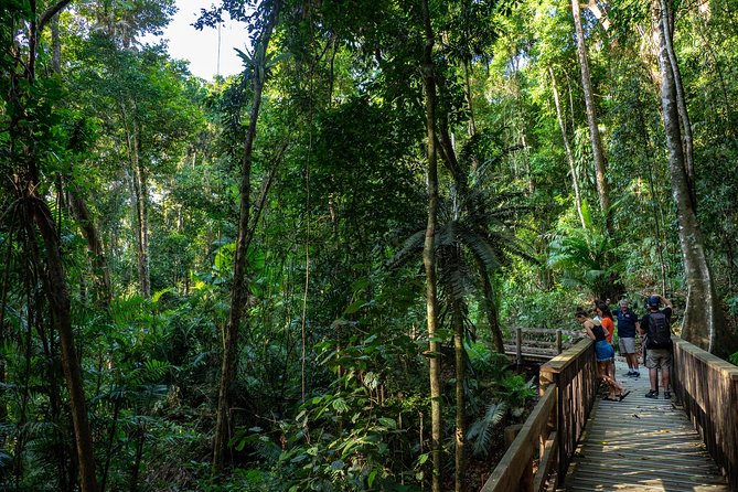 Daintree Rainforest and Mossman Gorge: Full or Half Day Tour - Pickup Information