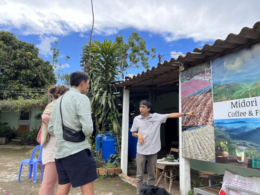 Dalat Organic Farm, Discover How to Make Specialty Coffee - Highlights of the Tour