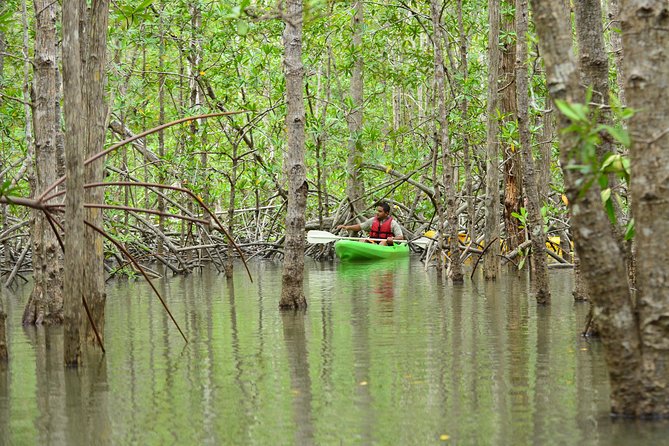 Damas Island Mangrove Kayaking Tour From Manuel Antonio - Booking Information