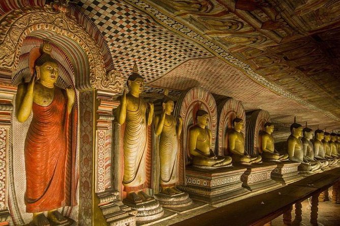 Dambulla & Sigiriya Day Tour From Colombo / Negombo With Lunch - Minneriya National Park Safari