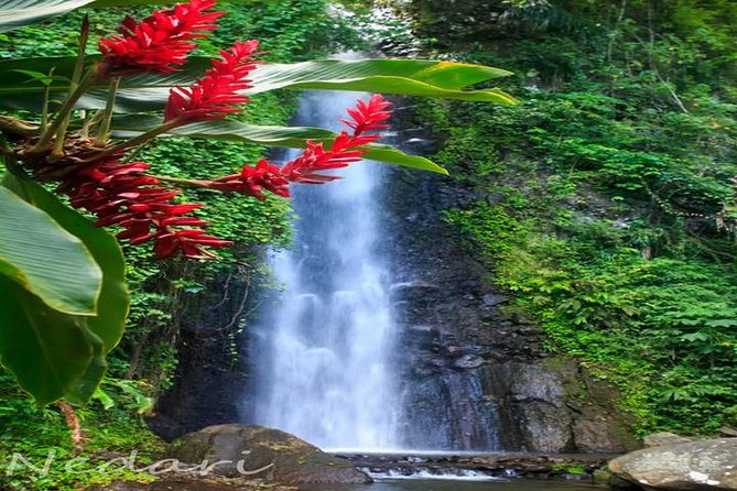 Dark View Falls Tour With Trubb Taxi Tours SVG - Meeting and Departure Details