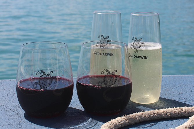 Darwin Sunset Cruise Including Fish N Chips - Guest Experience and Amenities