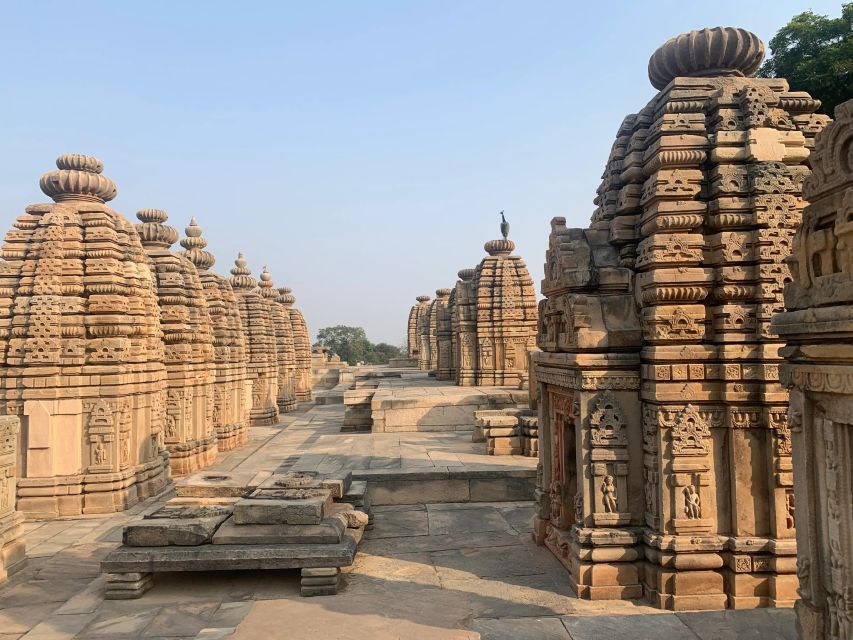 Day Excursion From Agra (Chambal Boat Safari) - Inclusions of the Tour
