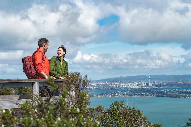 Day Sea Kayak Tour Rangitoto Island - Wildlife Encounters