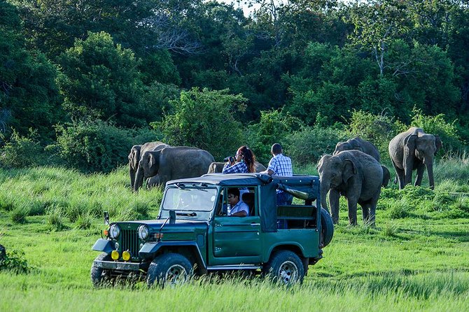 Day Tour From Colombo to Sigiriya, Pidurangala Rock & National Park Safari - Sigiriyas Ancient Ruins