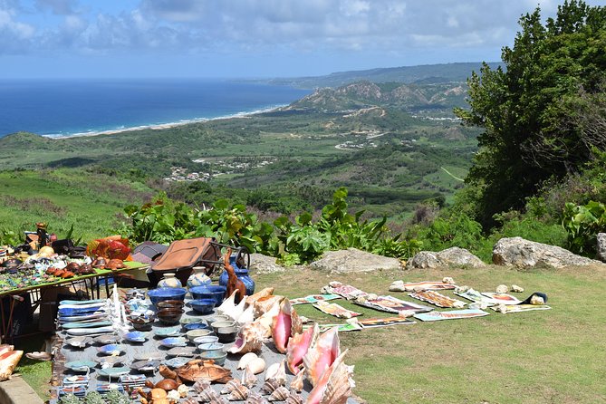 Day Tour Including Harrisons Cave St. Nicholas Lunch and Monkeys - Wildlife Encounter at Barbados Reserve