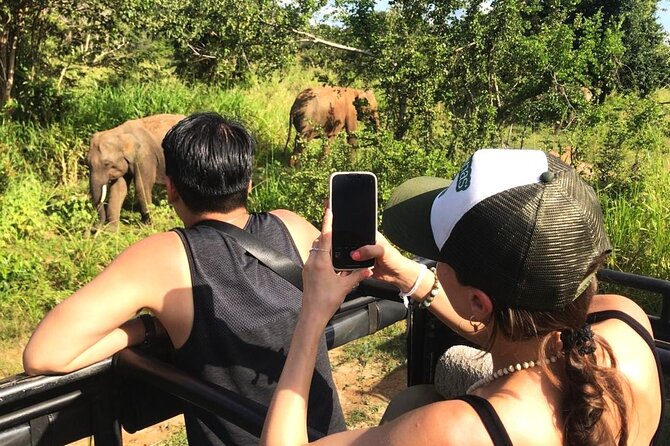 Day Tour to Dambulla, Sigiriya and Safari From Kandy (Group Tour) - Cancellation Policy