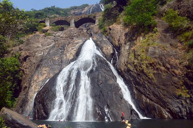 Day Trip to Mollem National Park Including Dudhsagar Falls and Jeep Safari From Goa - Swimming and Hiking Opportunities