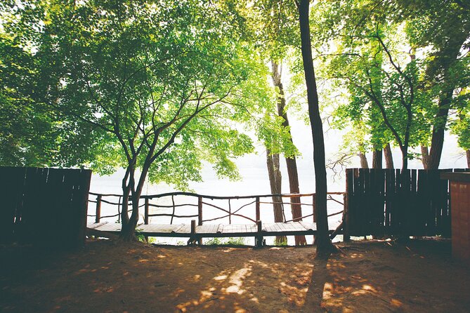 Day Trip to Nami Island With the Garden of Morning Calm - Cycling and Exploration