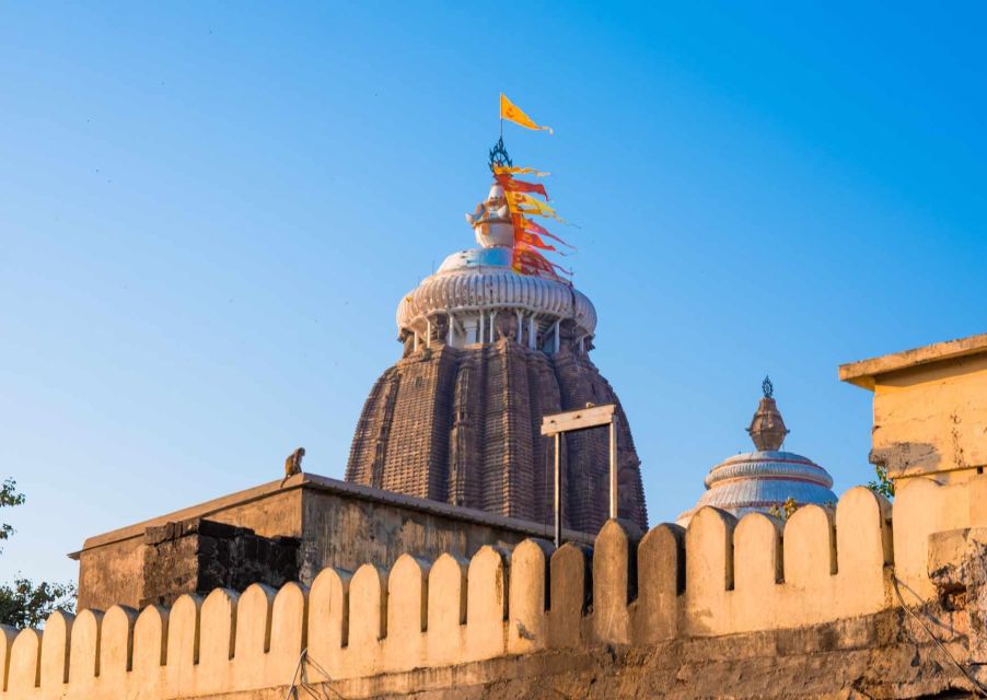 Day Trip to Puri (Guided Private Tour From Bhubaneswar) - Customer Experiences