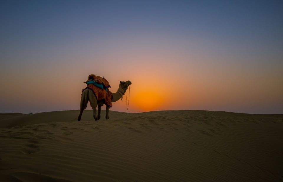 Dazzling Half Day Tour of Camel & Desert Safari With Sunset - Inclusions and Exclusions