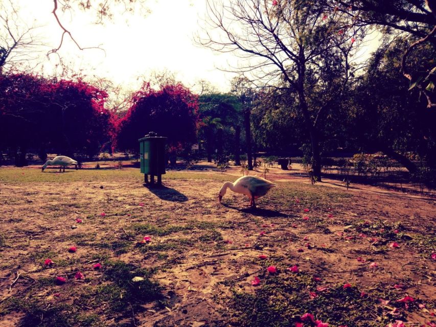 Delhi: Heritage Photography Tour - Guided Tour Features