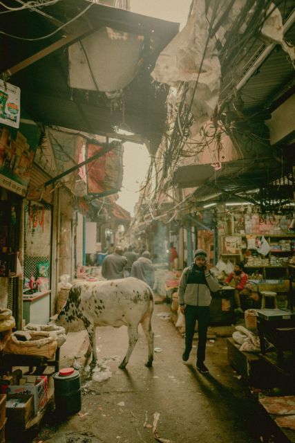 Delhi: Local Dinner Tour in Old Delhi - Local Cuisine Tasting