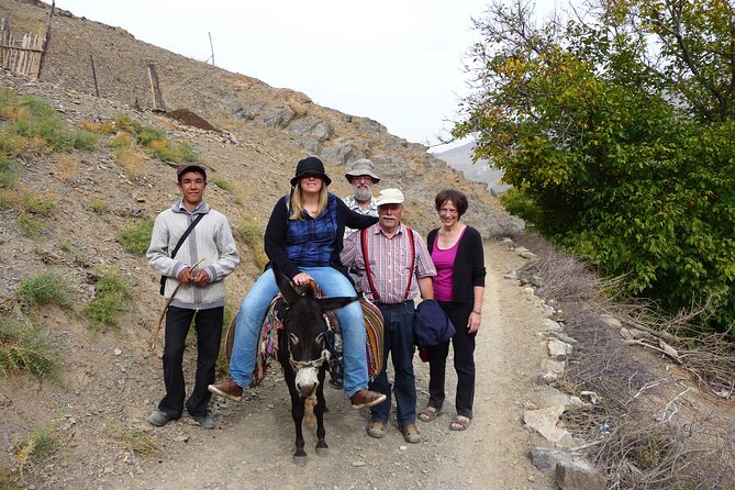 Desert Yurt Camp and Mountain Tour - 3 Days - Culinary Delights