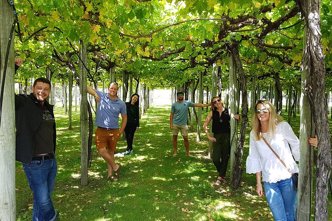 Discover Marlborough Wine - Afternoon Marlborough Wine Tour - Wine Varietals to Sample