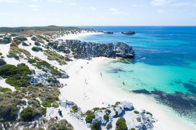 Discover Rottnest With Ferry & Bus Tour - Booking Process