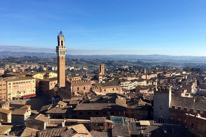 Discover the Medieval Charm of Siena on a Private Walking Tour - Meeting Point and Tour End