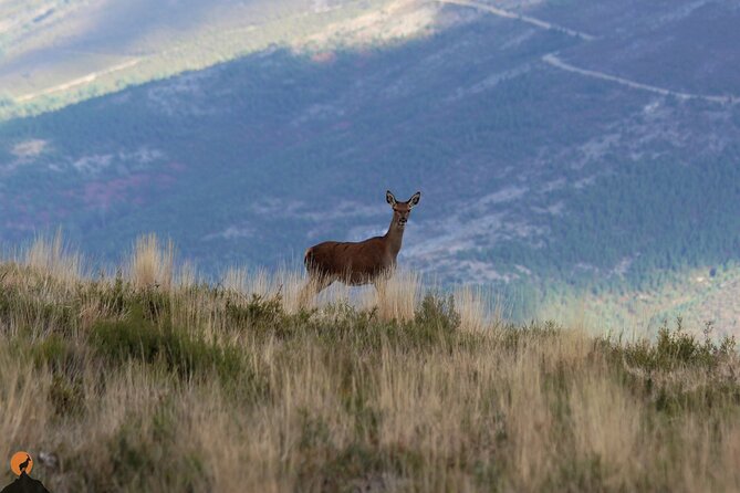 Discovering Nature in Serra Da Lousã - Customer Feedback