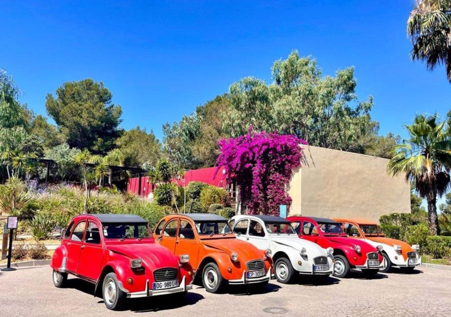 Discovery of Provence in a 2CV - Participant Requirements
